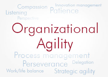 Graphic for Organizational Agility | Newberry Group blog