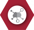 Managed IT Services